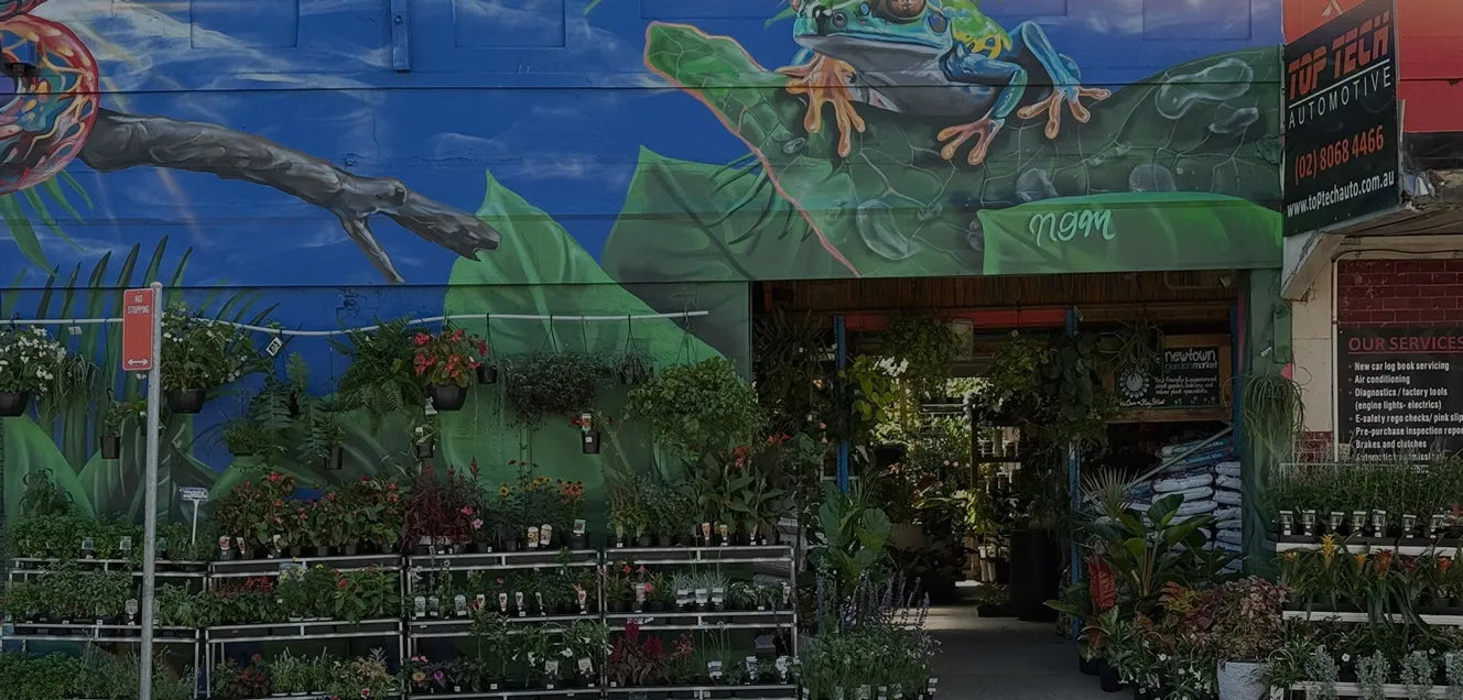 Newtown Garden Market