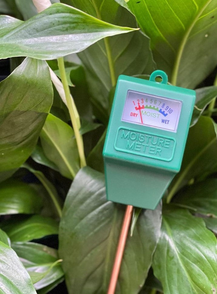 pot plant moisture meter Brunnings Soil Moisture Meter