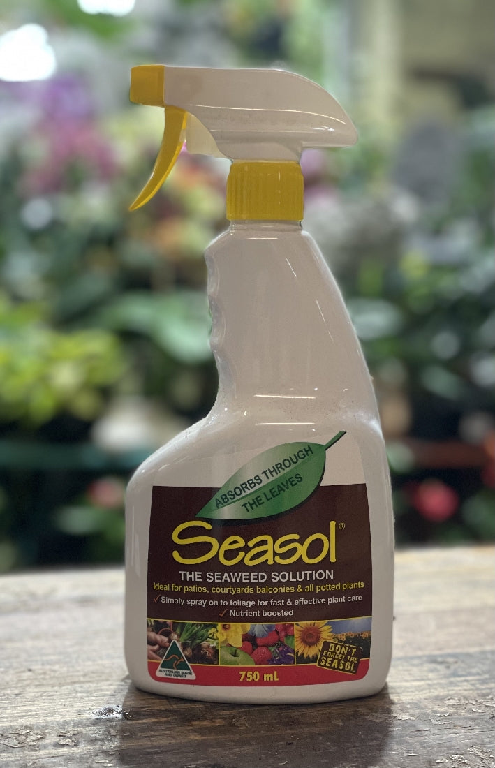 seasol for indoor plants Seasol Foliar Spray