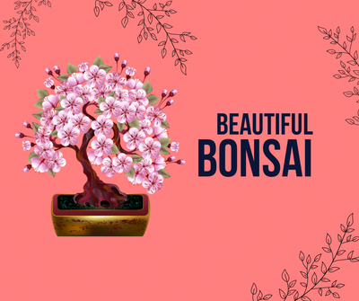 Fact Sheet: Beautiful Bonsai