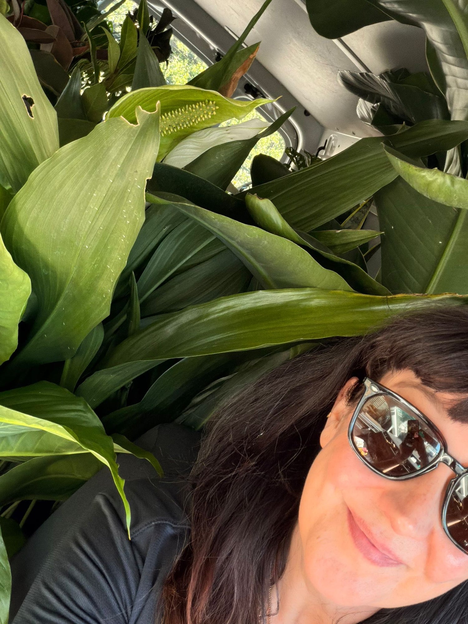 Ri, owner of Newtown Garden Market, on a plant buying expedition with the shop van loaded full of plants