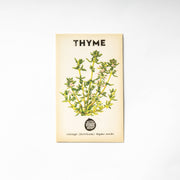 Little Veggie Patch Co - Thyme 'Summer' Heirloom Seeds