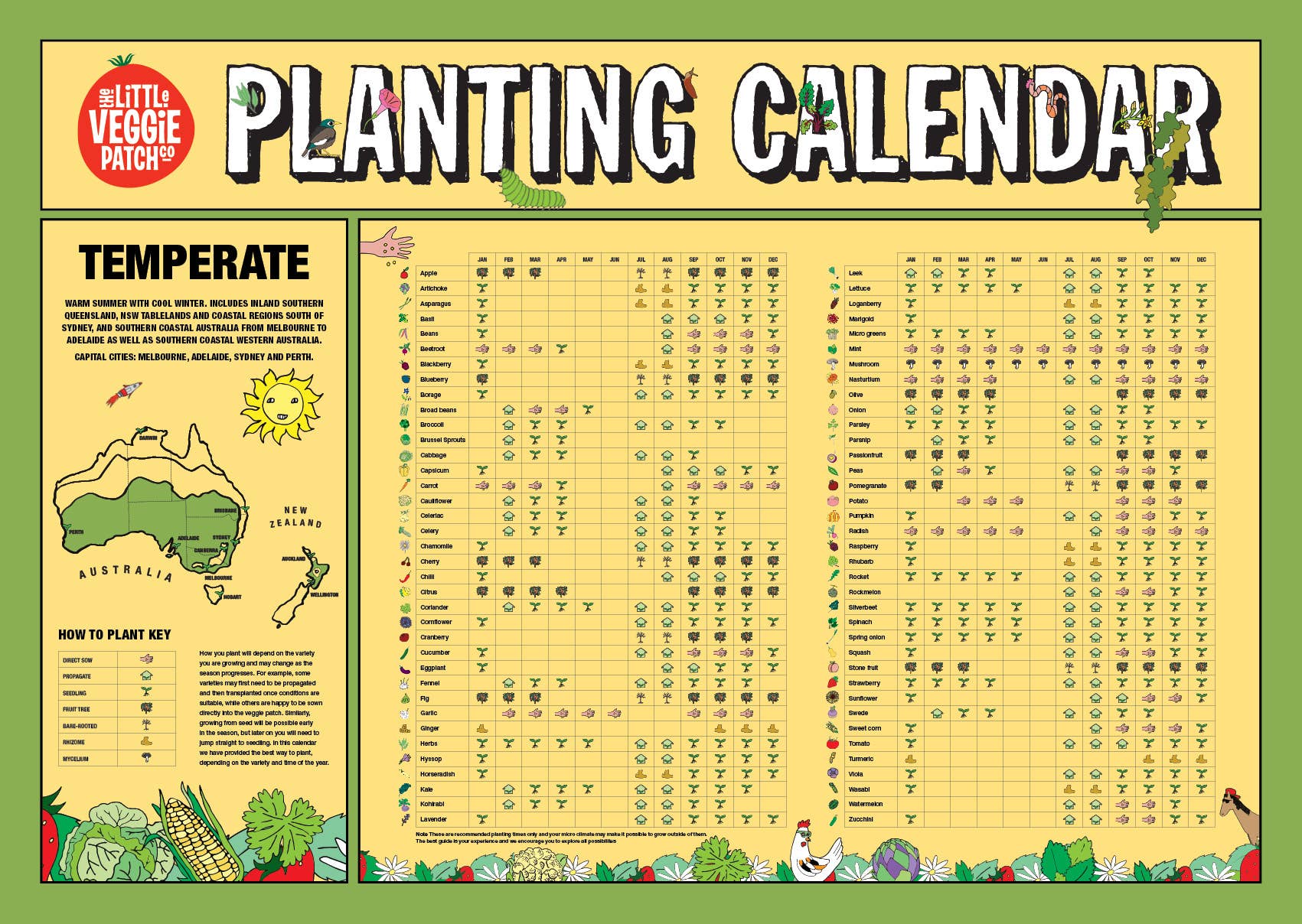 Little Veggie Patch Co - Temperate Climate Planting Calendar