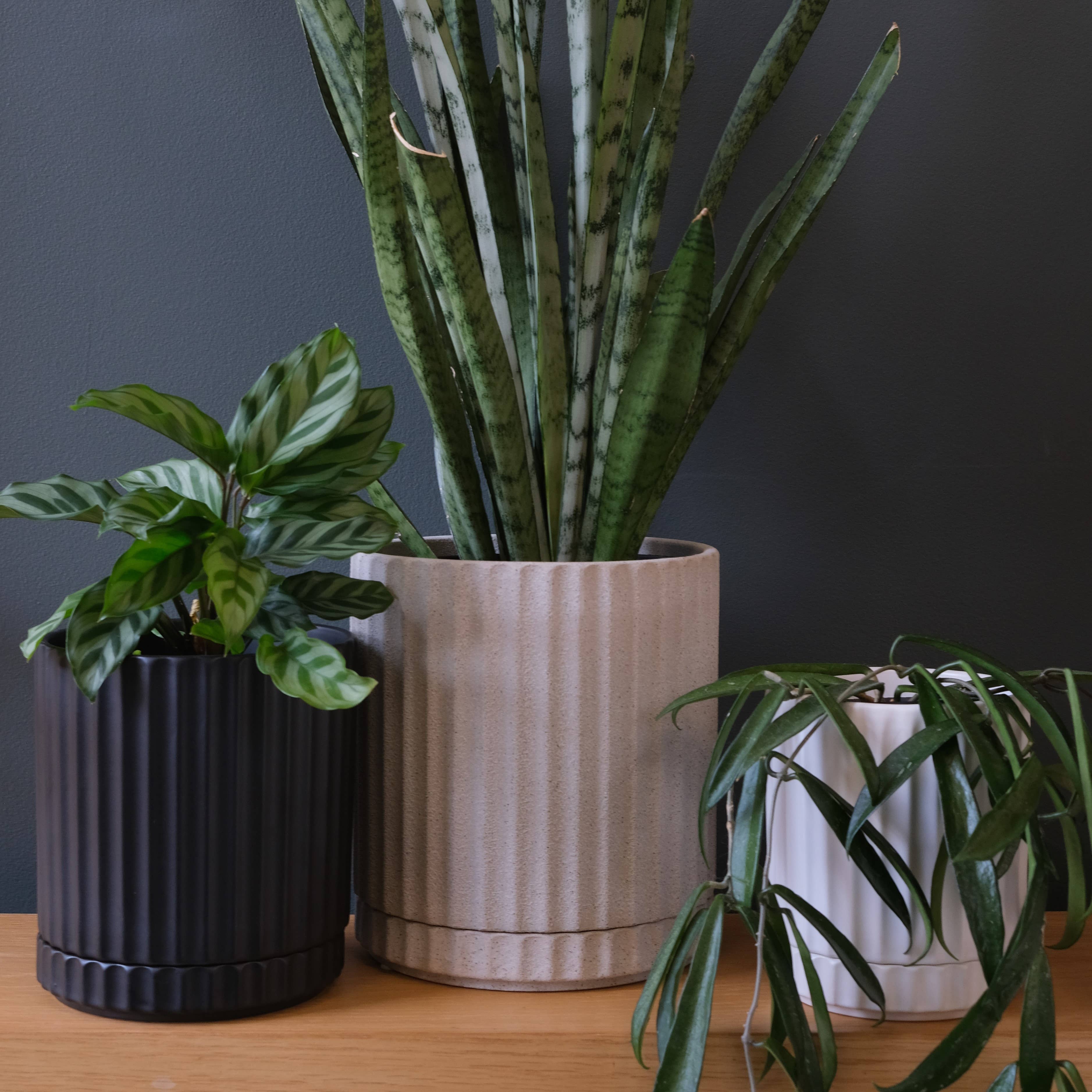 Small Athens Planter White