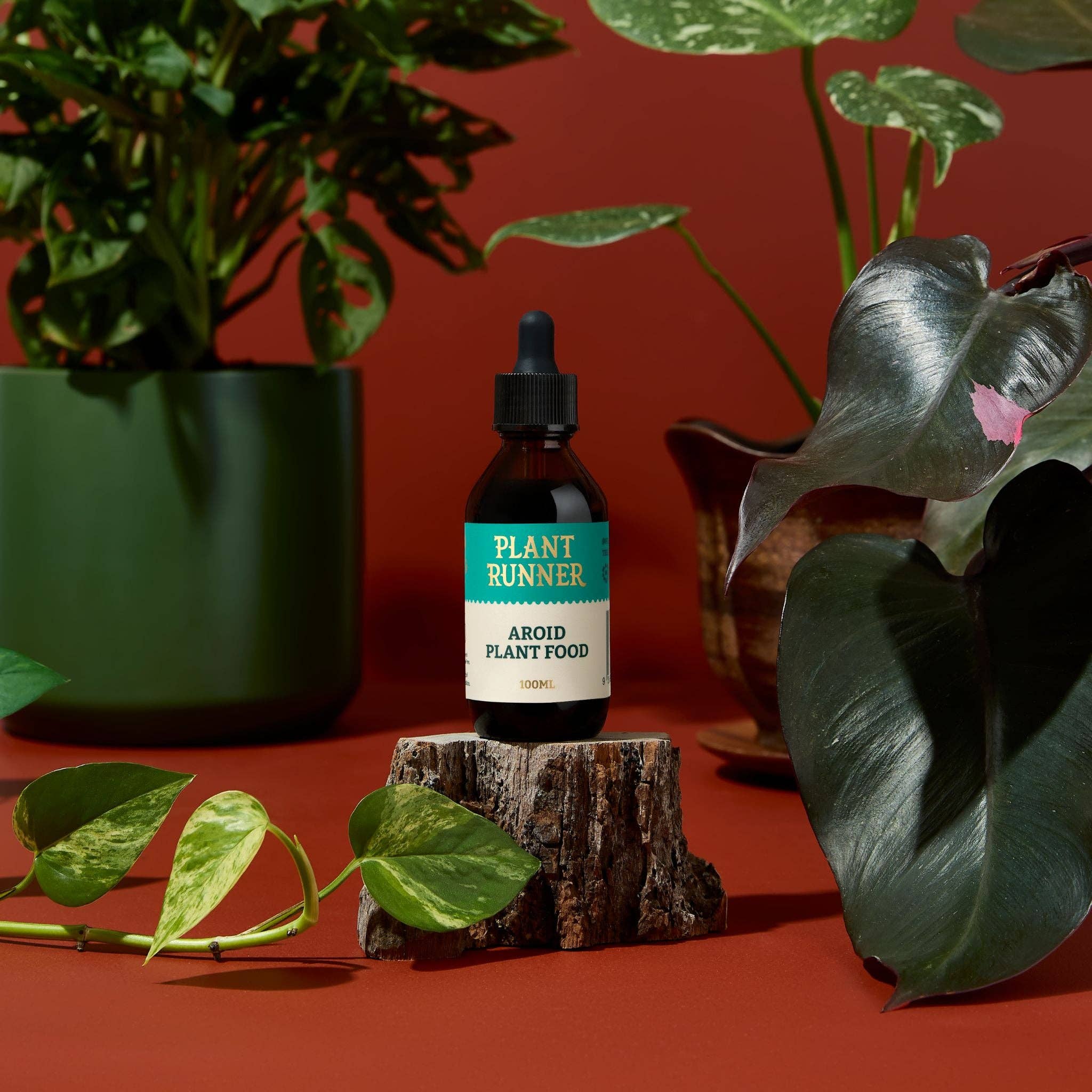 Aroid Plant Food 100ml