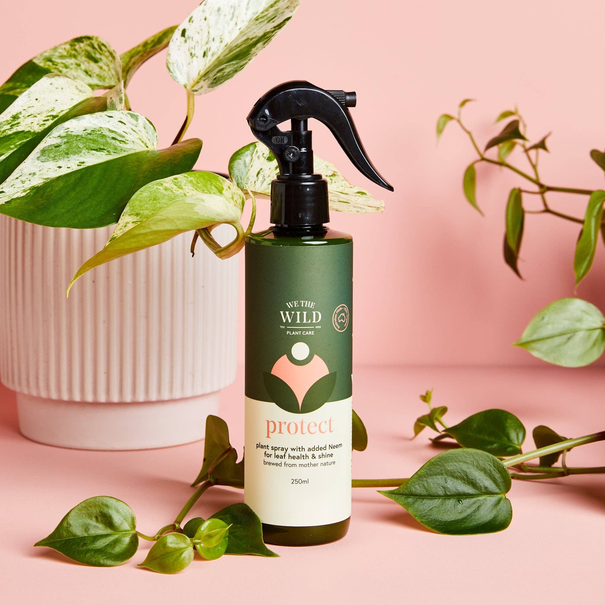 We the Wild Plant Care - Australia - Protect Spray With Neem - Case of 12