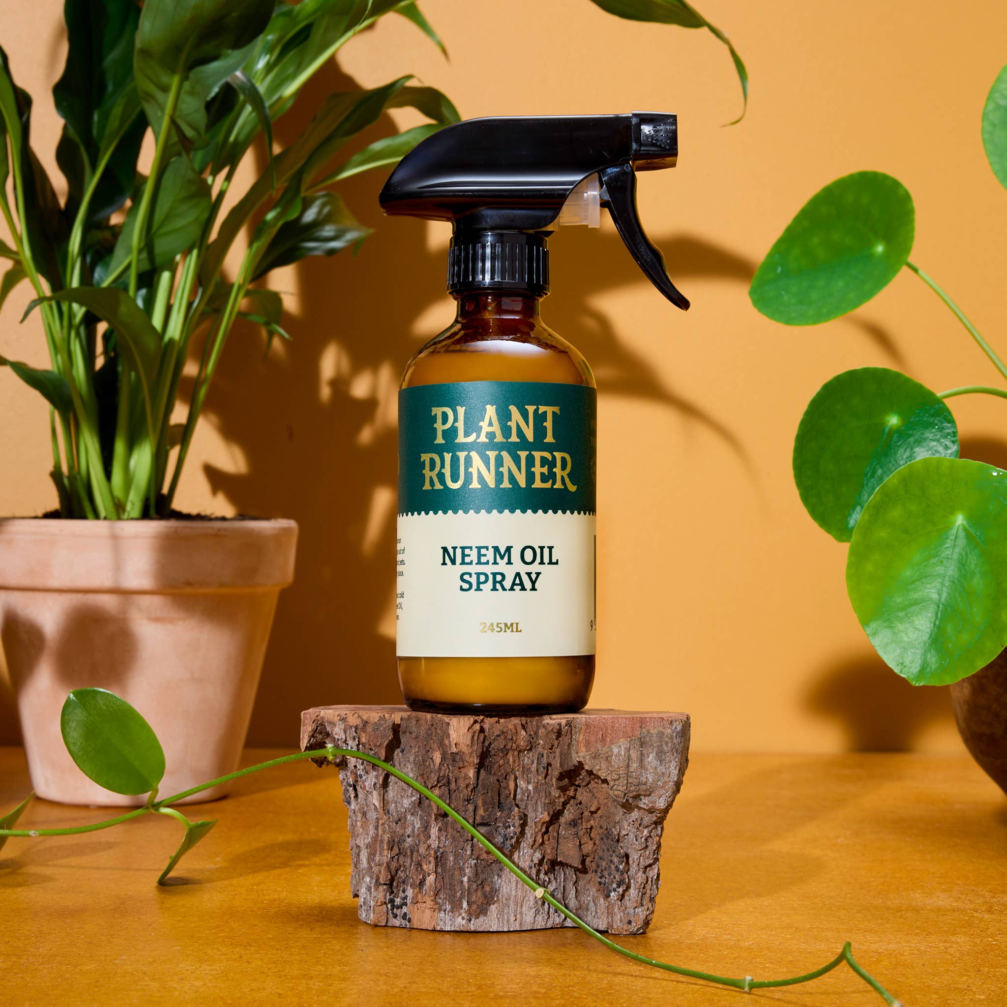 The Plant Runner - Neem Oil Leaf Shine