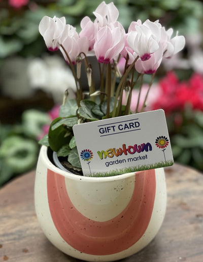 INSTORE GIFT CARD