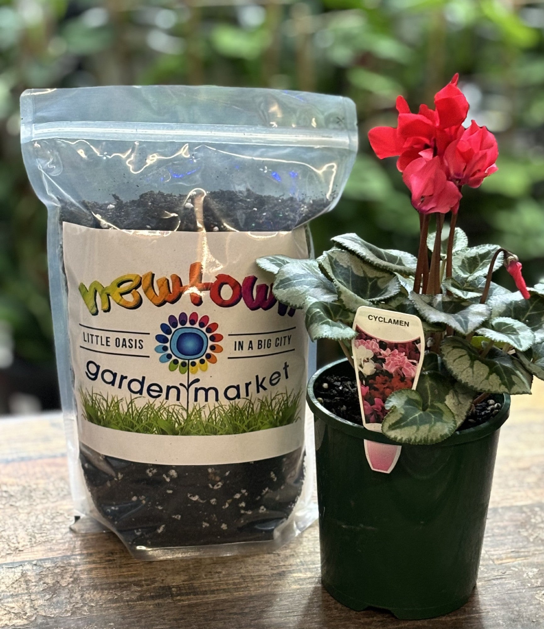 NGM Premium Potting Mix 4L front packaging