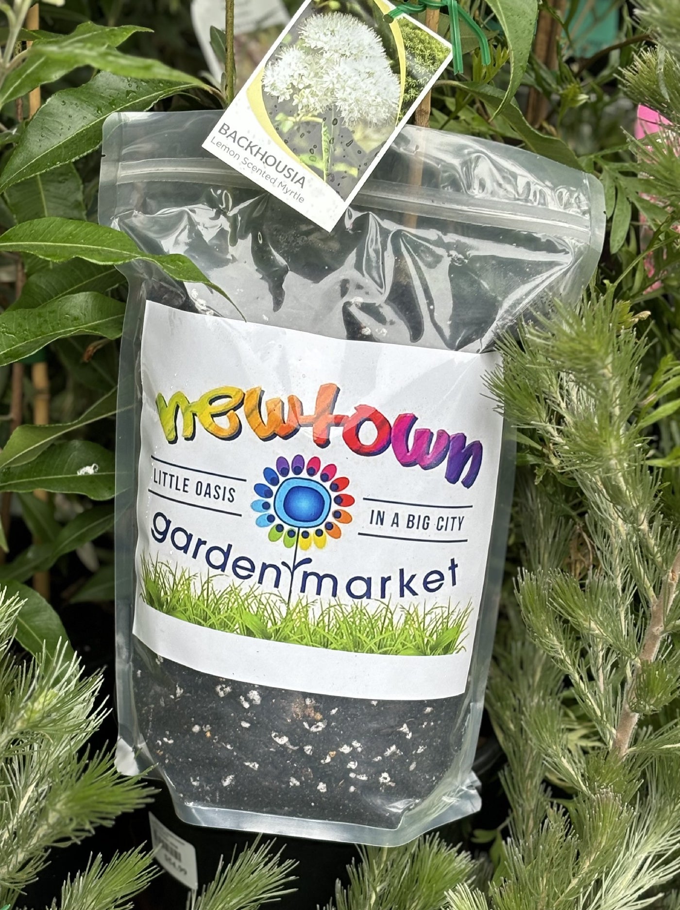 NGM NATIVE POTTING MIX 4LTR