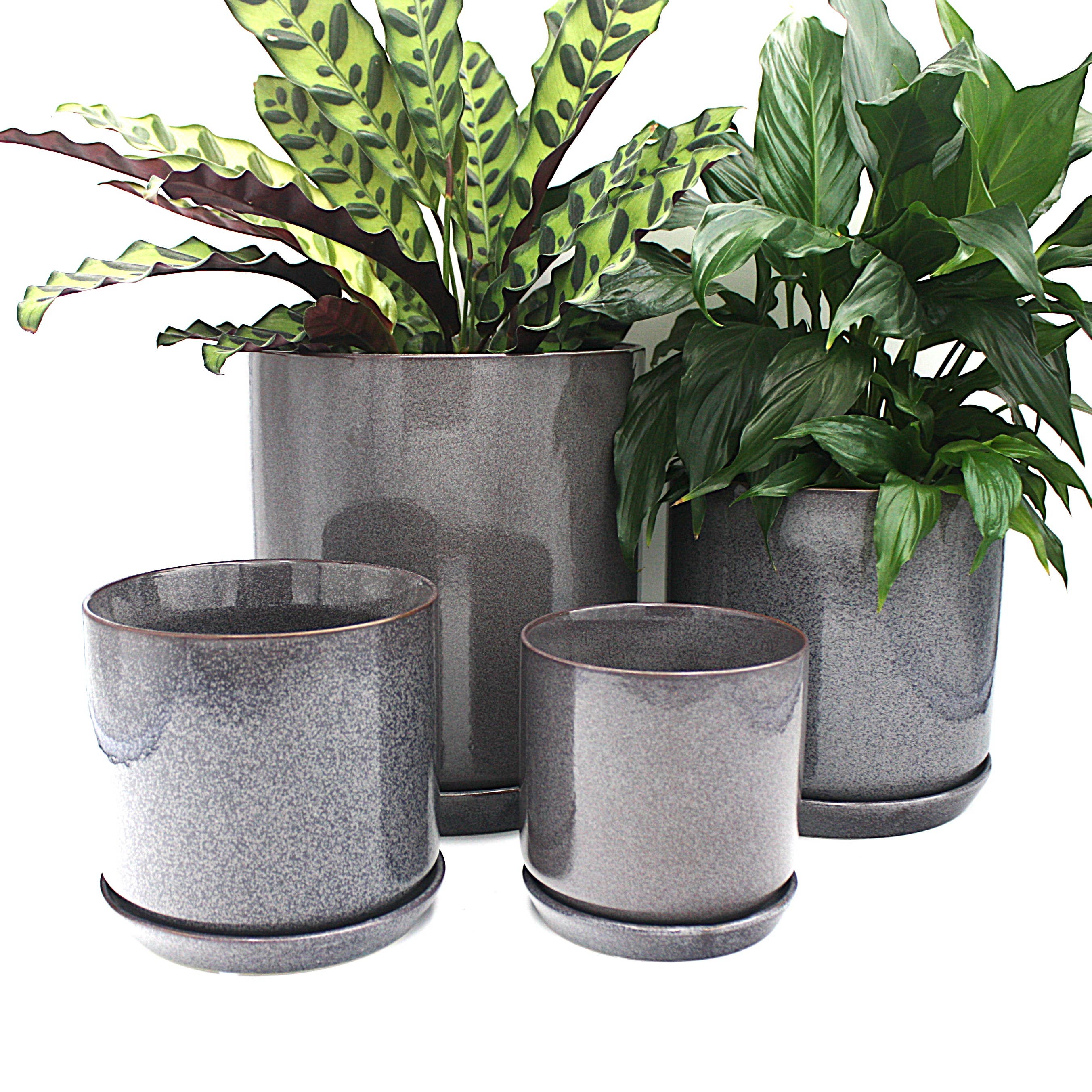 Small Oslo Planter Licorice