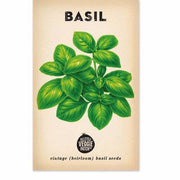 Little Veggie Patch Co - Basil 'Large Sweet Genova' Heirloom Seeds: Basil (Wholesale)