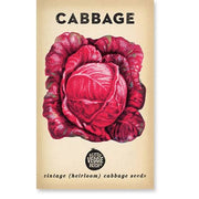 Little Veggie Patch Co - Cabbage 'Savoy Purple' Heirloom Seeds: Cabbage (Wholesale)