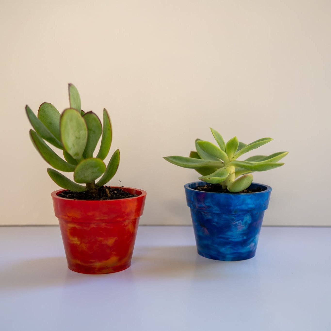 Recycled Plastic Pot Plant — Eco Gift, Australian Made: Fruit Salad (Limited Edition) / With Drainage Hole / Single