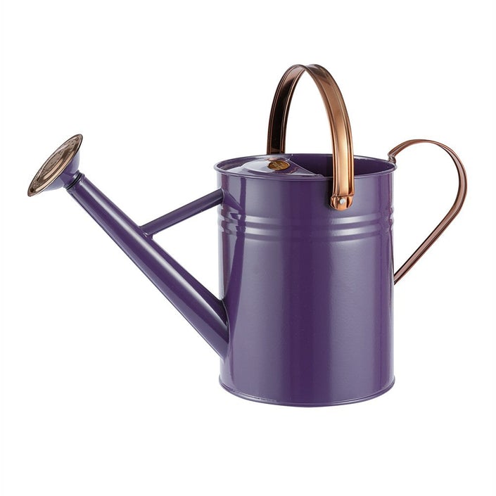 METAL WATERING CAN 4.5Ltr