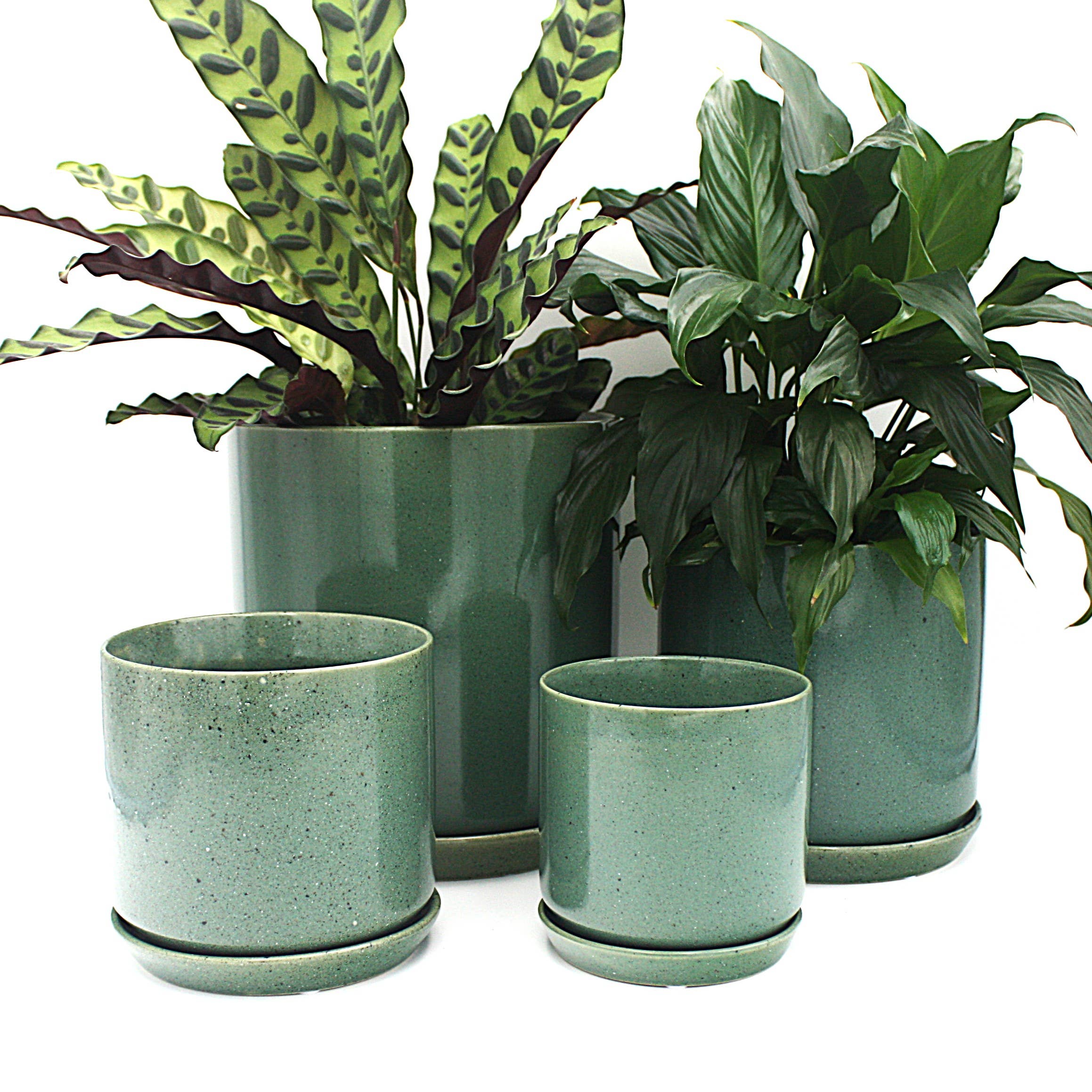 Small Oslo Planter Agave