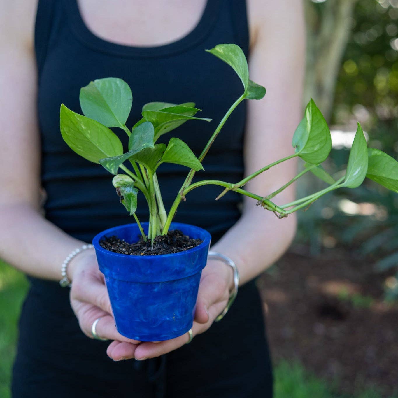 Recycled Plastic Pot Plant — Eco Gift, Australian Made: Fruit Salad (Limited Edition) / With Drainage Hole / Single