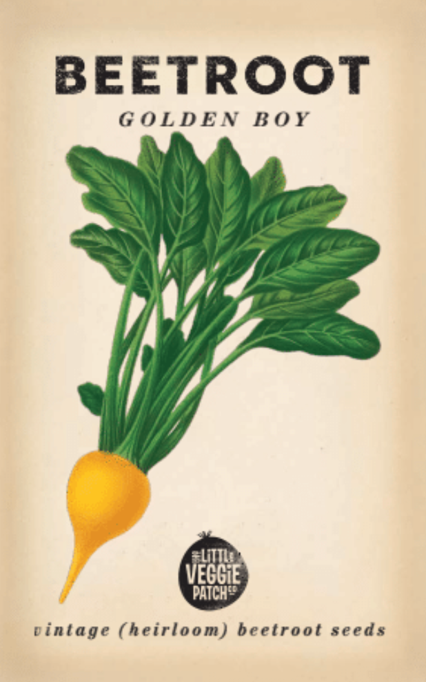 Little Veggie Patch Co - Beetroot 'Golden Boy' Heirloom Seeds