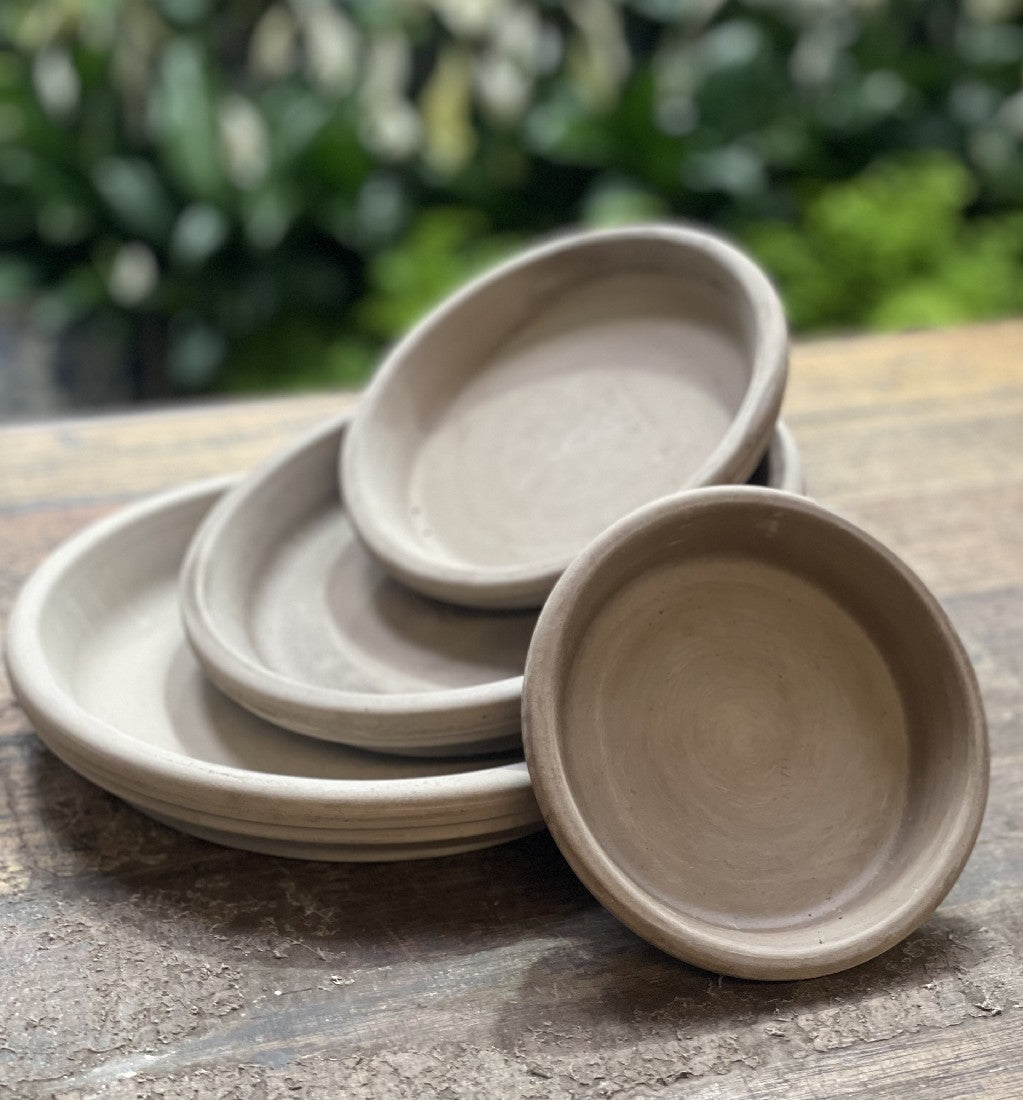 Italian Saucer -- Greige on white background