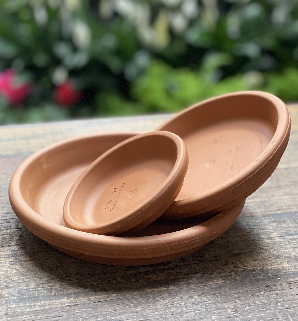 Italian Saucer -- Terracotta on white background