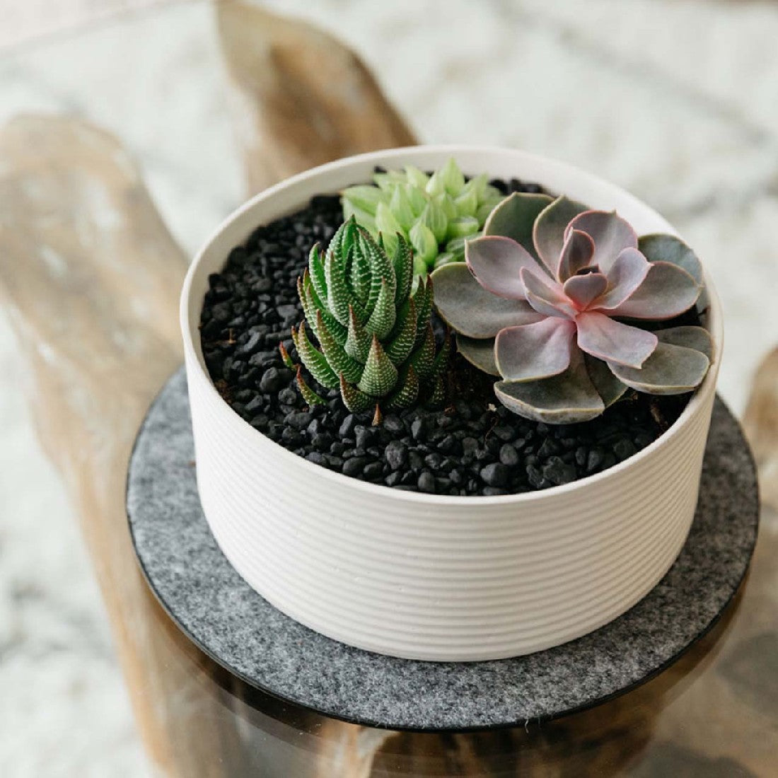 Garden Plastic Plant Mat styled with a plant in situ