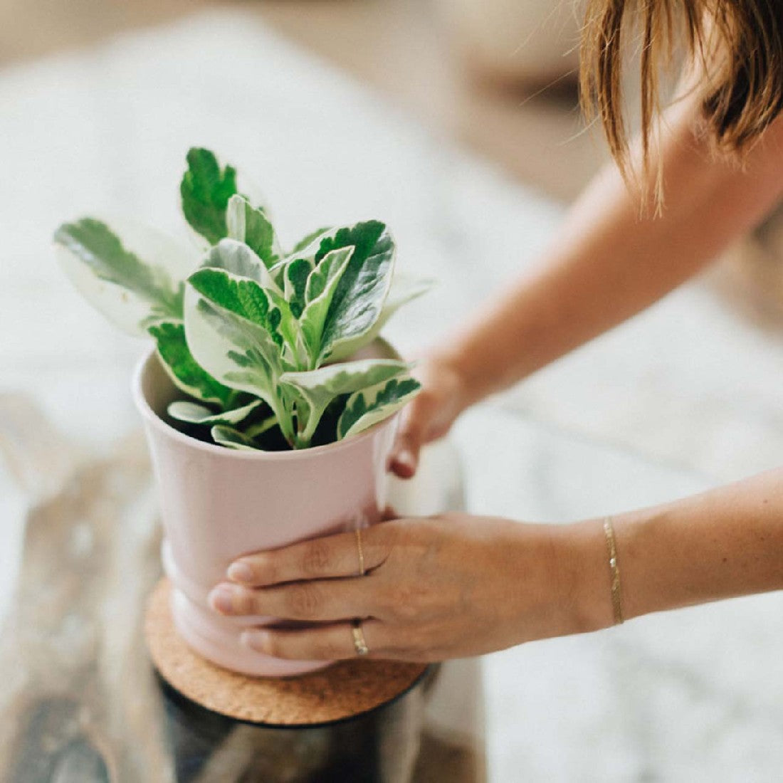 Garden Plastic Plant Mat additional angle or colour detail