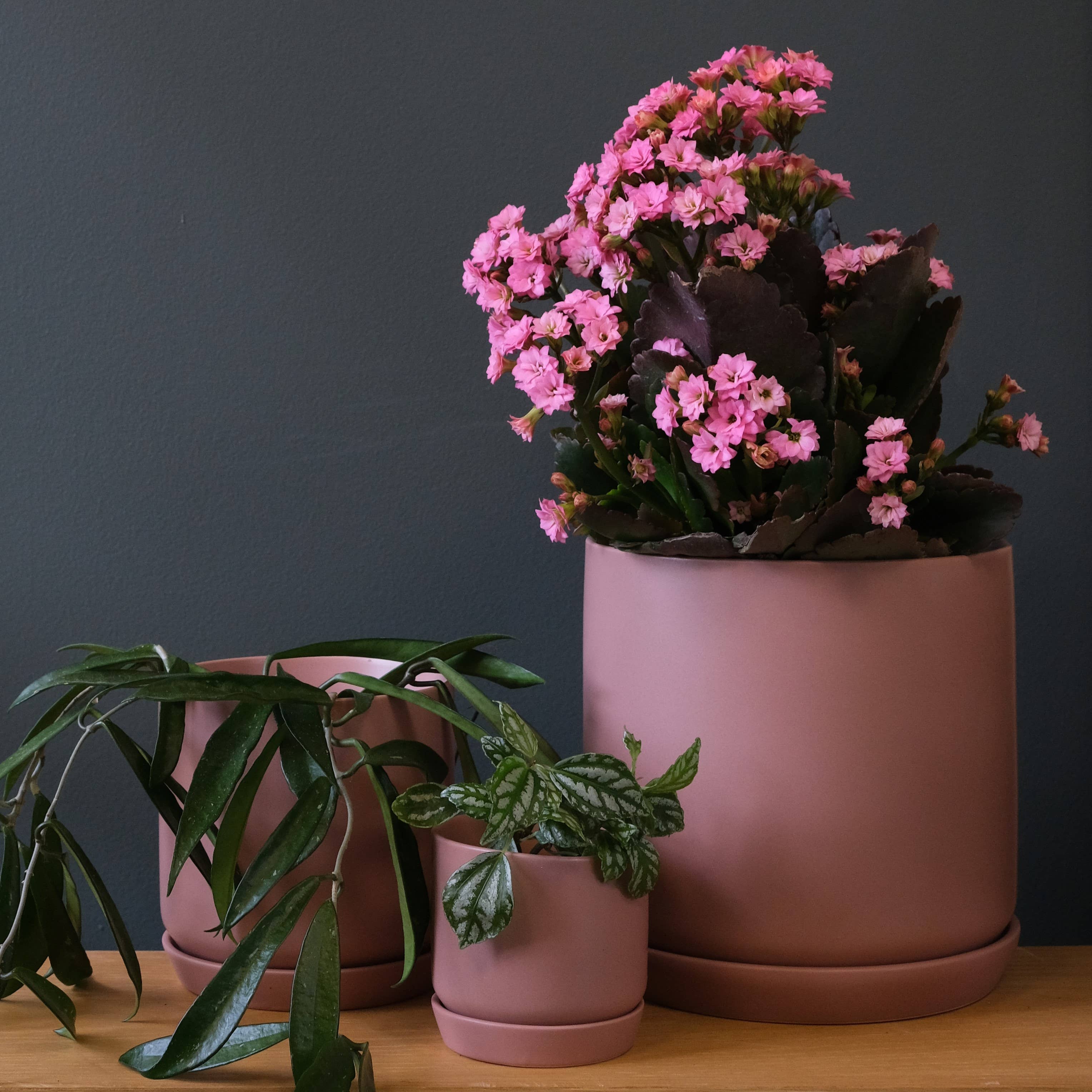 Small Oslo Planter Dusty Rose