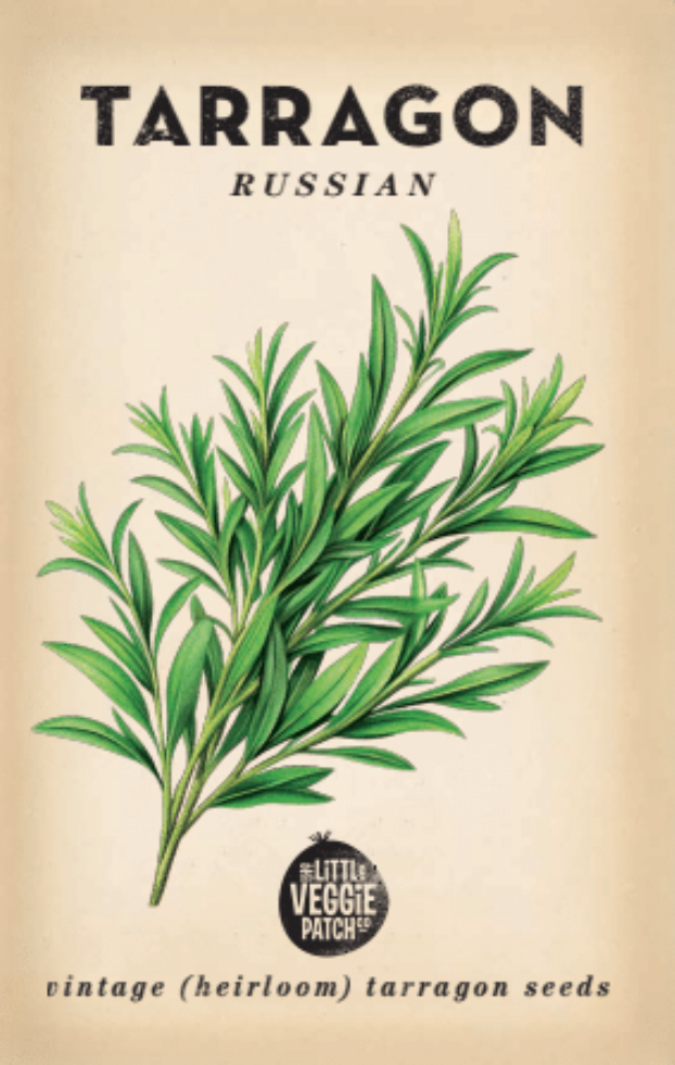 Little Veggie Patch Co - Tarragon 'Russian' Heirloom Seeds