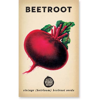 Little Veggie Patch Co - Beetroot 'Detroit' Heirloom Seeds: Beetroot (Wholesale)