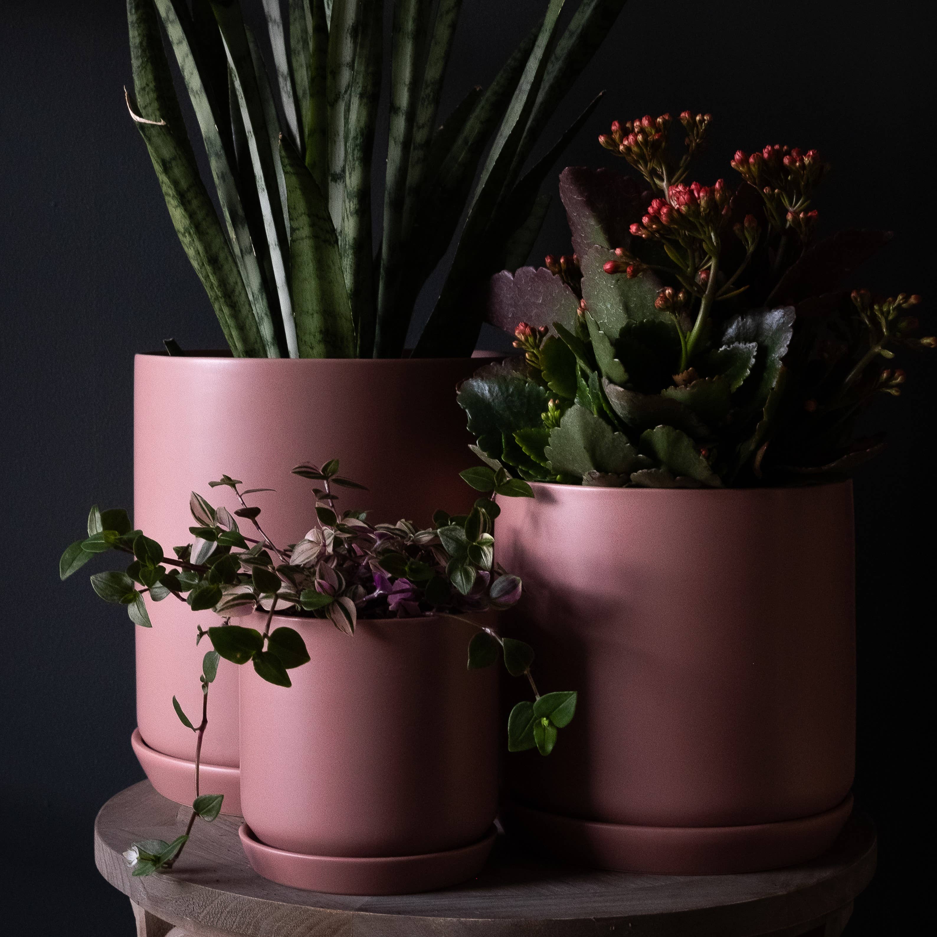 Small Oslo Planter Dusty Rose