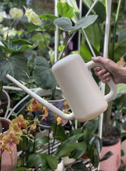 Pilea Watering Can 3.8l Green front view