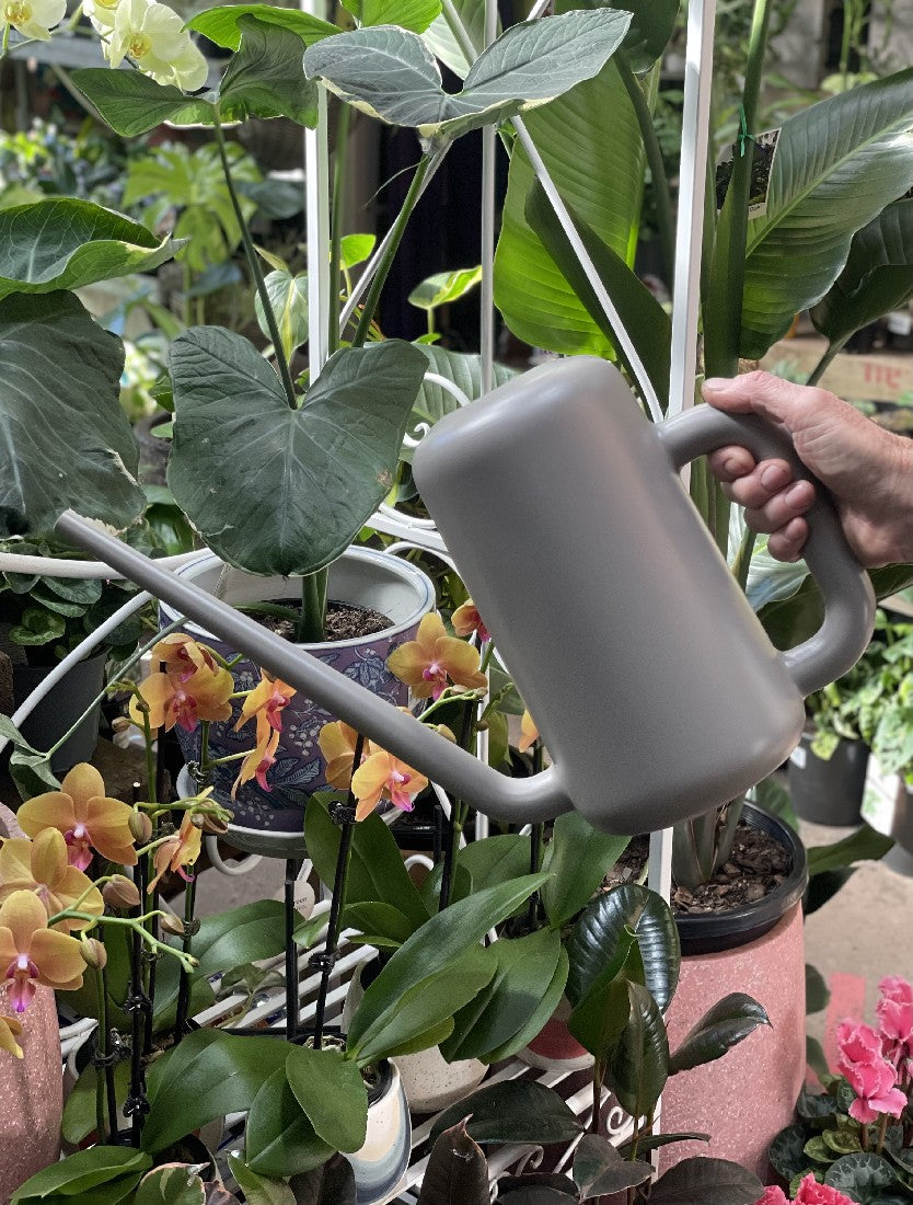 PILEA WATERING CAN 3.8L GREEN