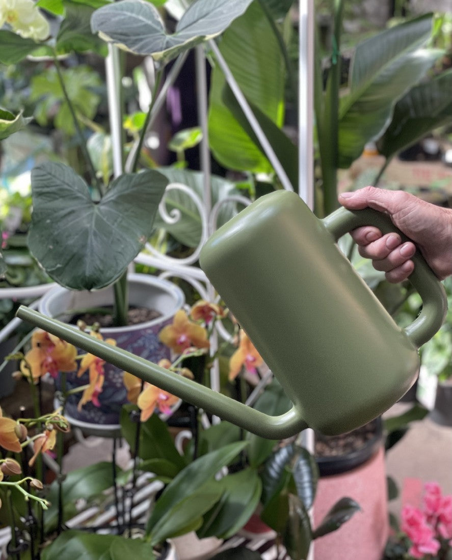 Pilea Watering Can 3.8l Green additional angle