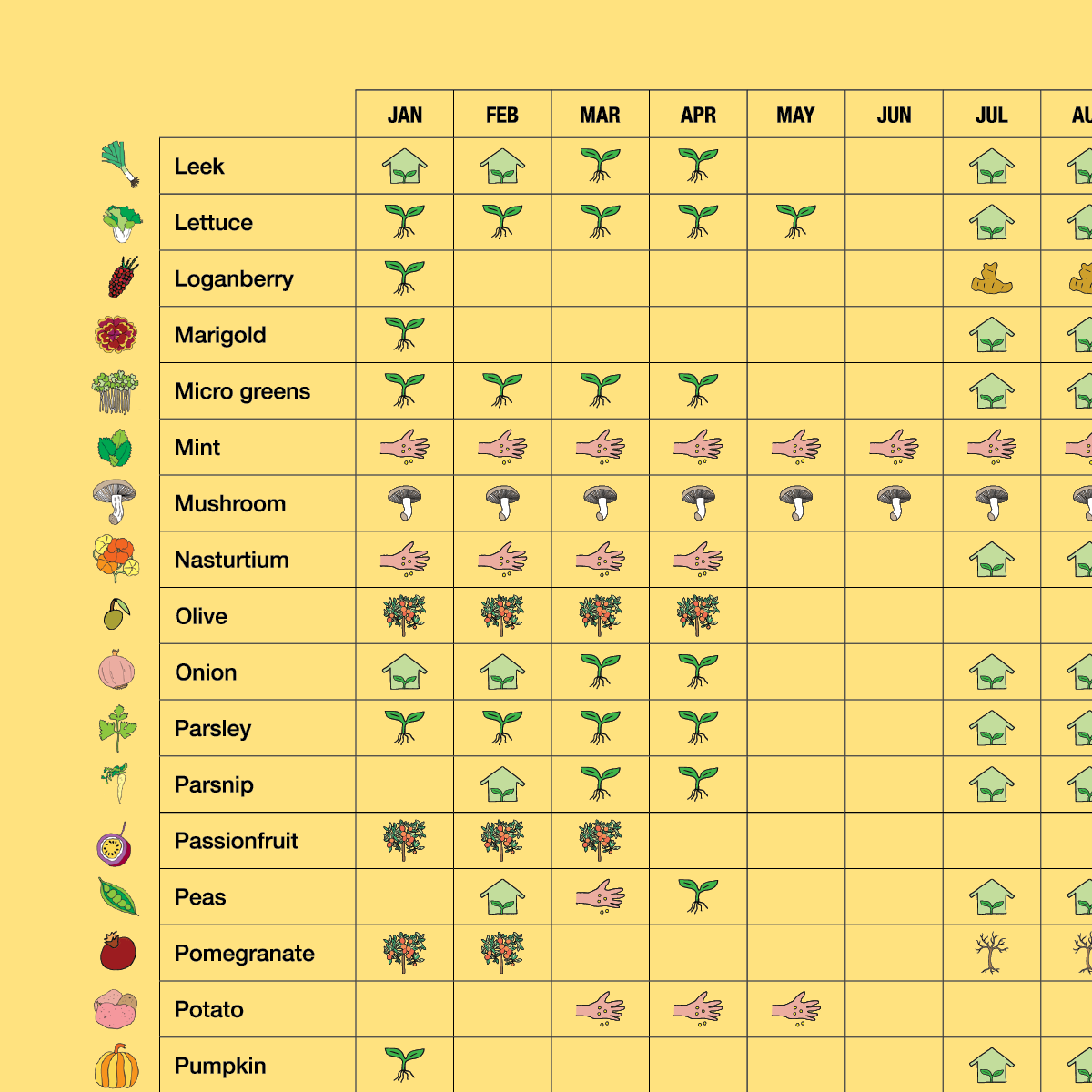 Little Veggie Patch Co - Temperate Climate Planting Calendar