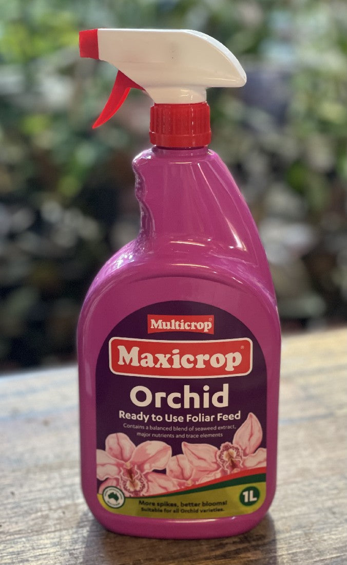 MAXICROP ORCHID RTU FOLIAR SPRAY 1LTR