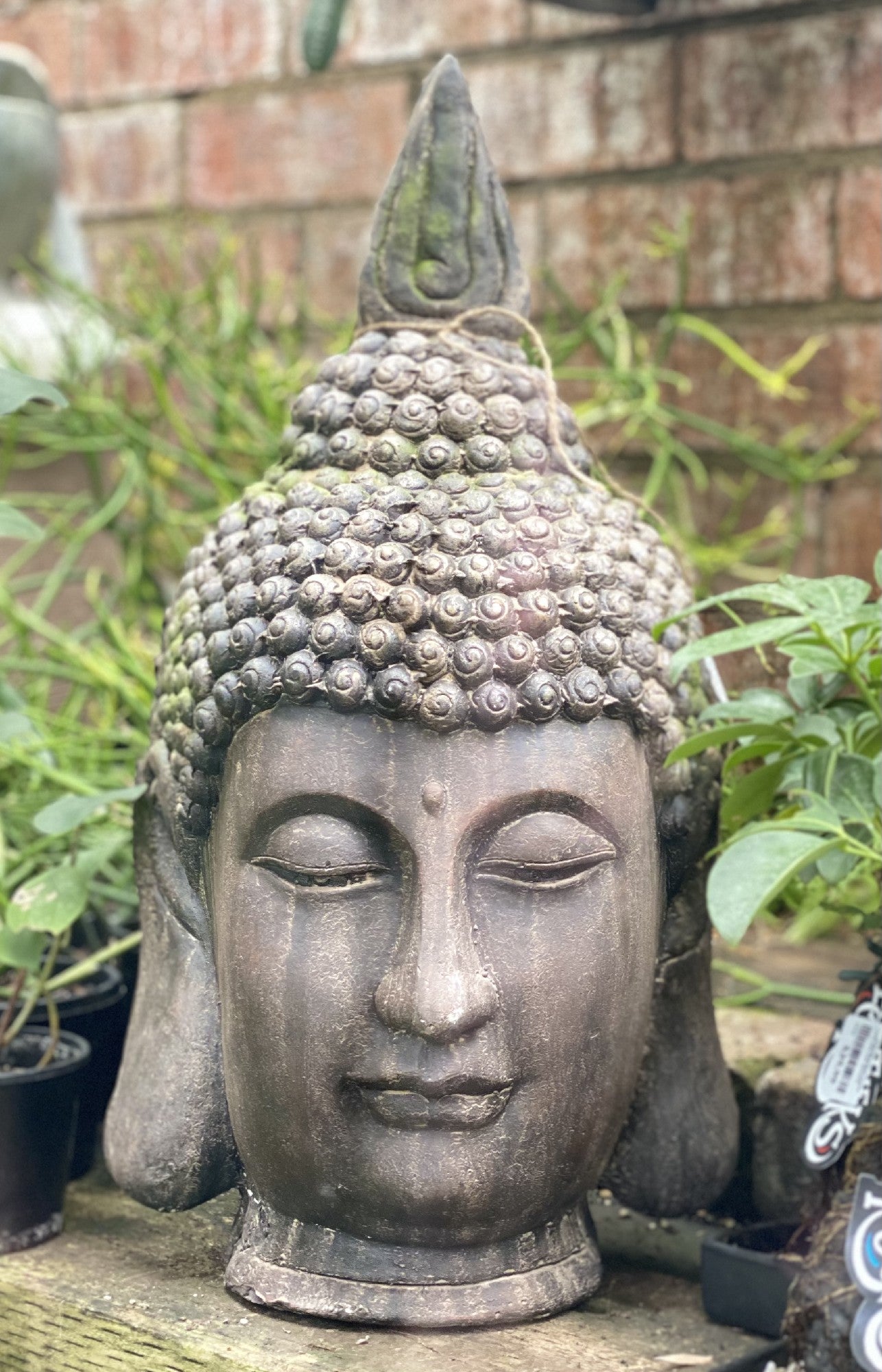 ANTIQUED MANJUSHRI BUDDHA HEAD 52CM