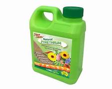 Sharp Shooter Natural Pyrethrum Conc 500ml front packaging