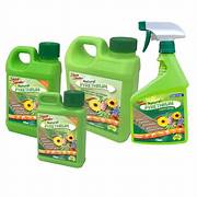 Sharp Shooter Natural Pyrethrum Conc back label