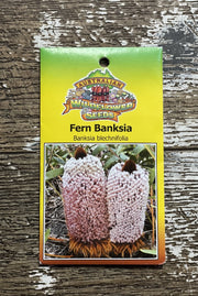 Australian Wildflower Fern Banksia seed packet label front on white background