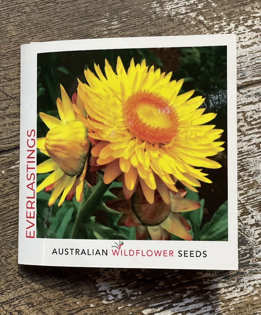 Wildflower Everlastings Seeds Gift Set 6 Pack gift folder front cover