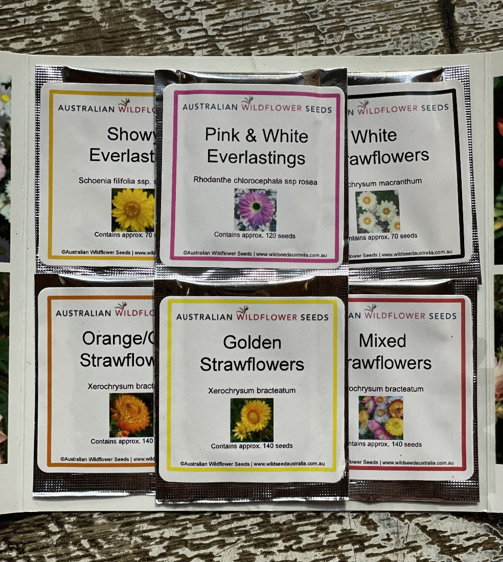 Wildflower Everlastings 6 Pack folder open showing six labelled seed sachets