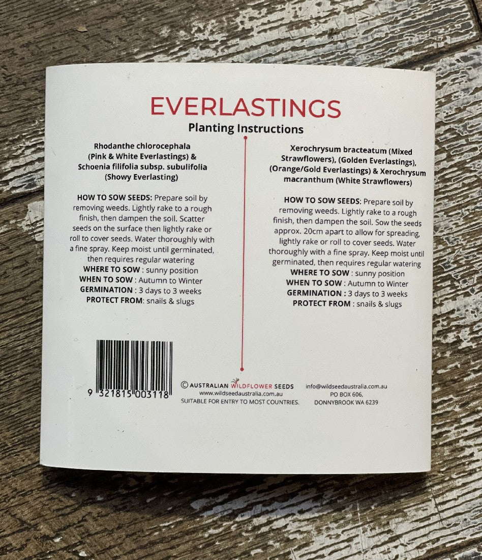 Wildflower Everlastings Gift Set back of folder showing growing instructions