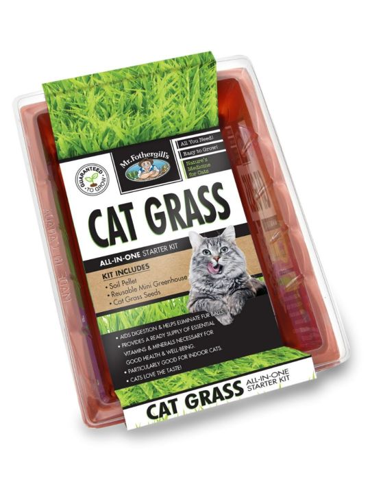 SEED RAISER CAT GRASS