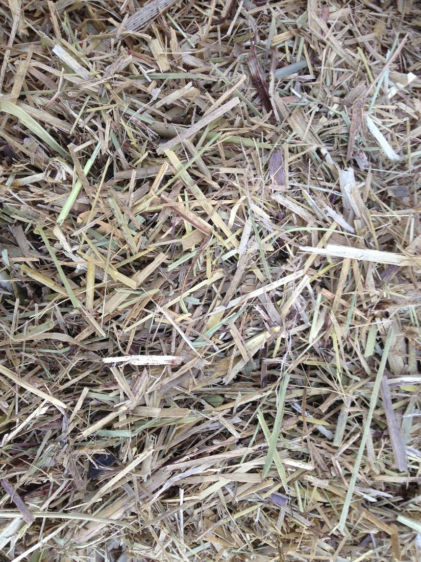 Martins Sugar Cane Mulch back label