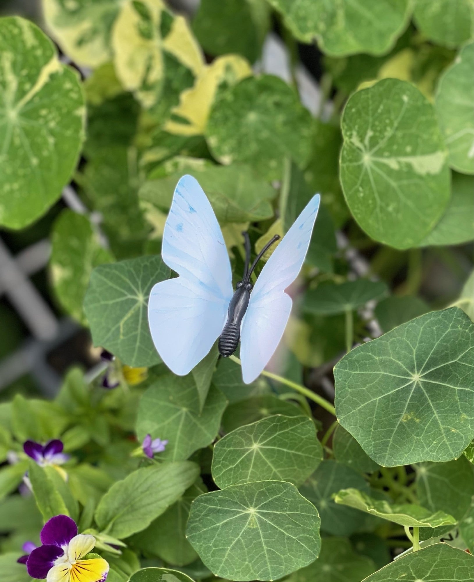 Cabbage White Butterfly Decoy 6Pk available at Newtown Garden Market