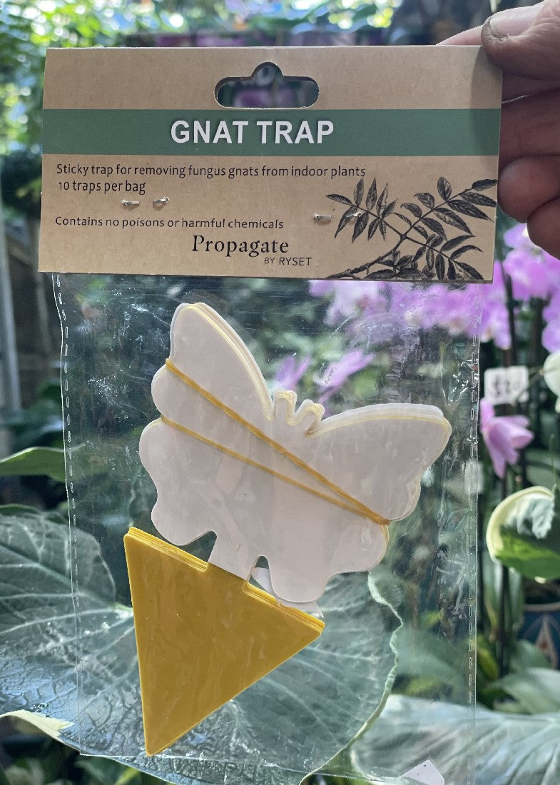 Fungus Gnat Traps 10 Pack front packaging