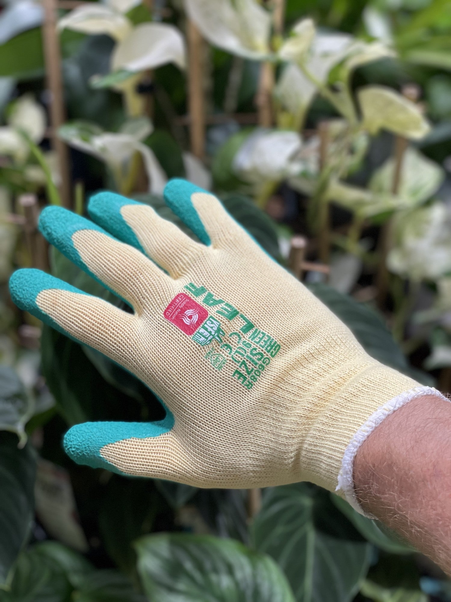 Greenleaf Gloves view 7