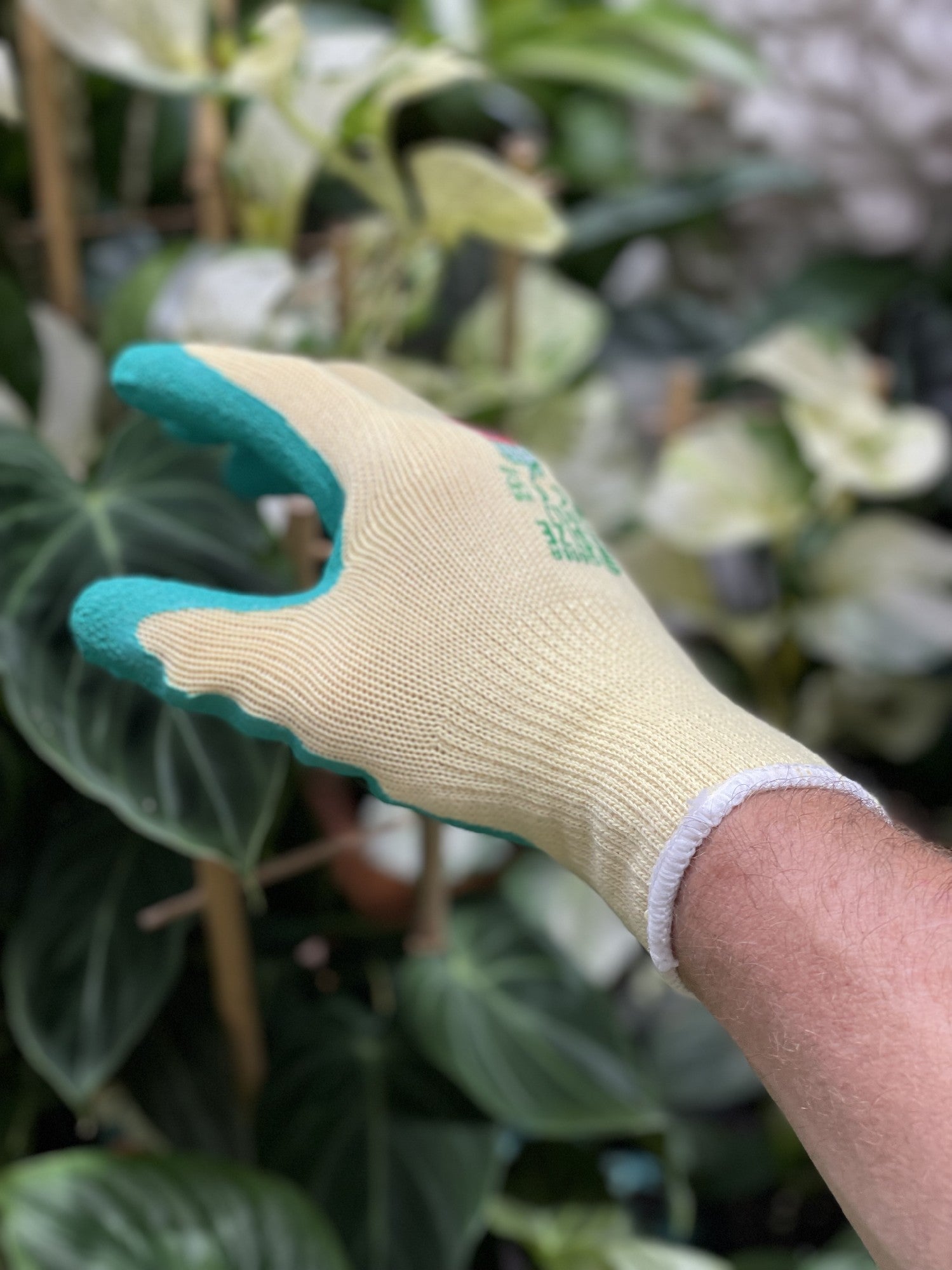 Greenleaf Gloves view 6