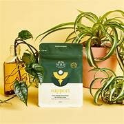 We the Wild Support Slow Release Bioactive Plant Food 250g front packaging