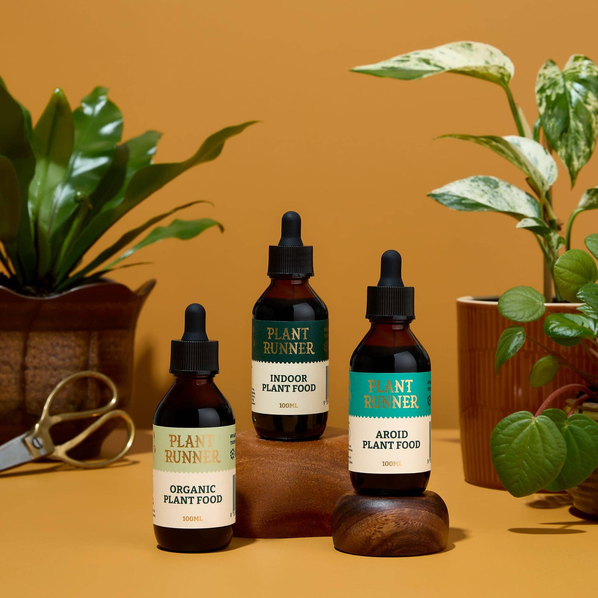Aroid Plant Food 100ml